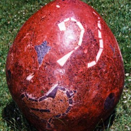 The egg