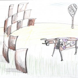 Bullfight
